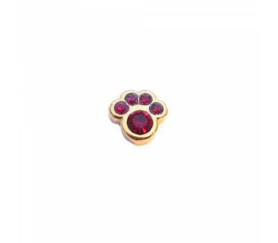 Floating Charms Floating charm geboortesteentje hondenpoot januari goud voor de memory locket