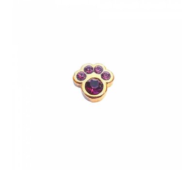 Floating Charms Floating locket charm geboortesteentje hondenpoot februari goud