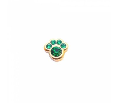 Floating Charms Floating charm geboortesteentje hondenpoot mei goud voor de memory locket