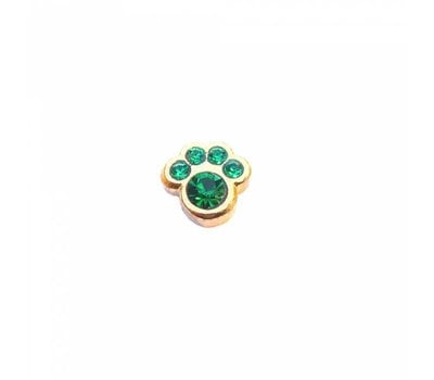 Floating Charms Floating locket charm geboortesteentje hondenpoot mei goud
