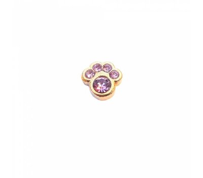 Floating Charms Floating charm geboortesteentje hondenpoot juni goud voor de memory locket