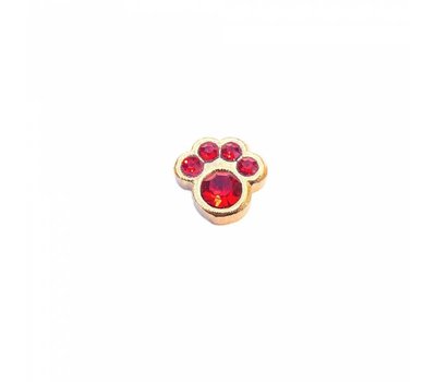 Floating Charms Floating locket charm geboortesteentje hondenpoot juli goud