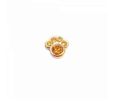 Floating Charms Floating locket charm geboortesteentje hondenpoot november goud