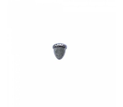 Floating Charms Floating locket charm eikeltje zilver