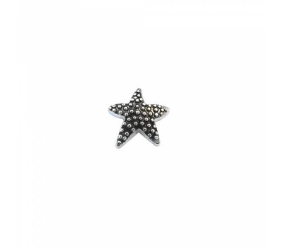 Floating Charms Floating locket charm zeester zilver