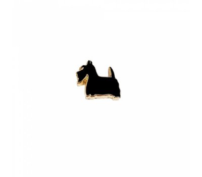 Floating Charms Floating locket charm zwarte scottish terrier goud