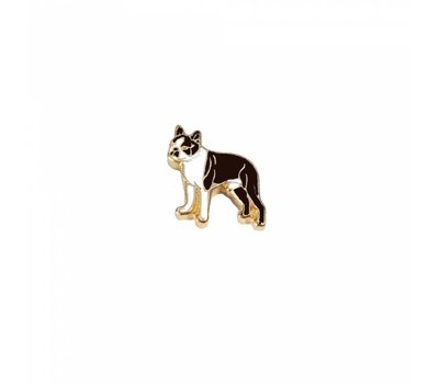 Floating Charms. Floating charm Bostonterrier goud voor de memory locket