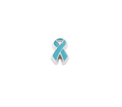 Floating Charms Floating locket charm teal ribbon zilver