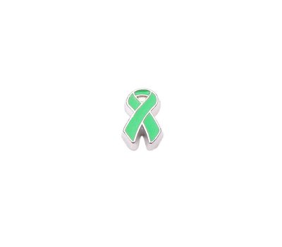 Floating Charms Floating locket charm green ribbon zilver
