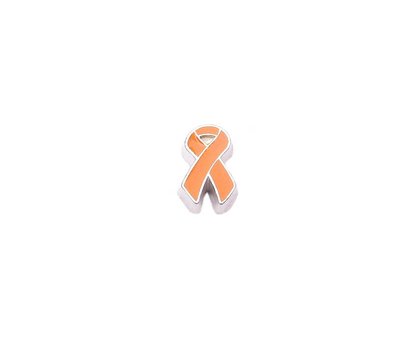 Floating Charms Floating locket charm orange ribbon zilver