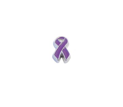 Floating Charms Floating locket charm purple ribbon zilver
