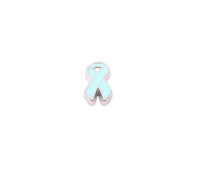 Floating Charms Floating locket charm light blue ribbon zilver