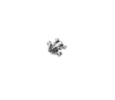 Floating Charms. Floating charm kikker zilver voor de memory locket