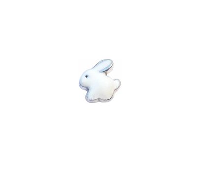 Floating Charms Floating locket charm wit konijn zilver