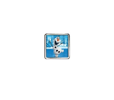 Floating Charms. Floating charm foto Olaf voor de memory locket