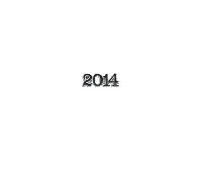 Floating Charms Floating charm 2014 voor de memory locket