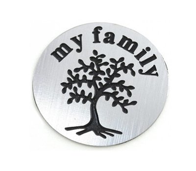 Locket Disks Floating locket disk my family zilver