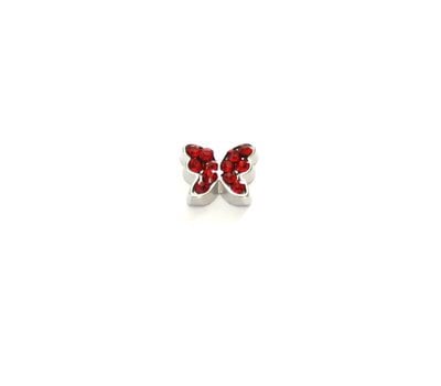 Floating Charms Floating locket charm geboortesteentje vlinder januari zilver