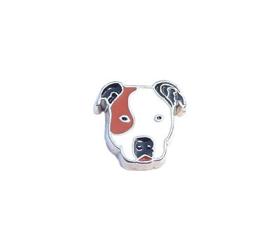 Floating Charms. Floating charm Pitbull voor de memory locket