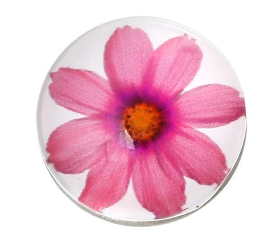 Clicks / Chunks Click pink flower zilver