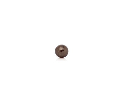 Floating Charms Floating locket charm parel medium bruin