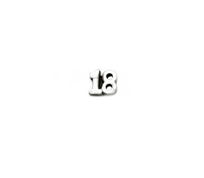 Floating Charms. Floating charm 18 voor de memory locket