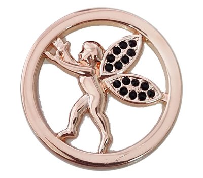 Munt voor Muntketting Engel zwarte crystals rose goud