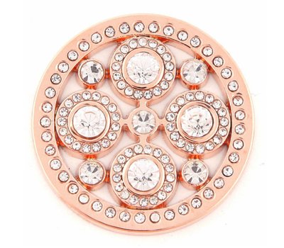 Munt voor Muntketting Universe crystals rose goud