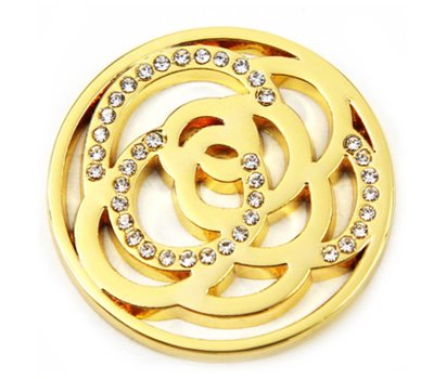 Munt voor Muntketting Twisting circles met crystals goud