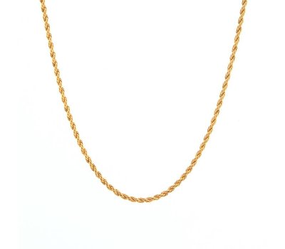 Ketting voor Muntketting Rope ketting goud van roestvrij staal