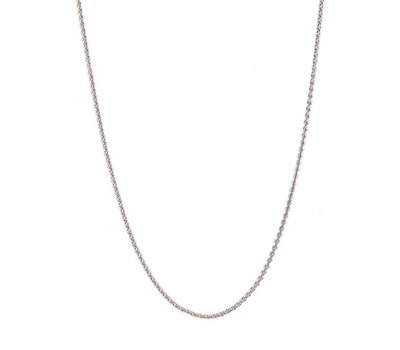 Ketting voor Muntketting Coin ketting Zilver 80cm van roestvrij staal