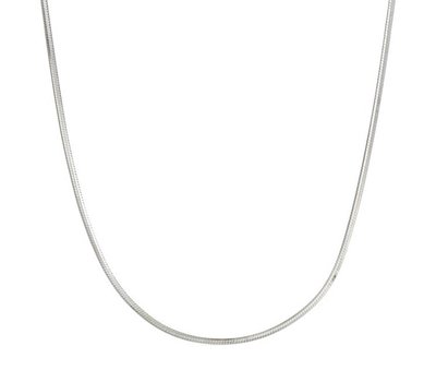 Ketting voor Muntketting Snake ketting Zilver van roestvrij staal