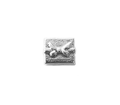 Floating Charms Floating locket charm cadeautje zilver