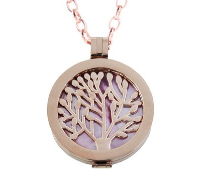 Complete Muntketting Pink Pearl Family Tree Rose Goud
