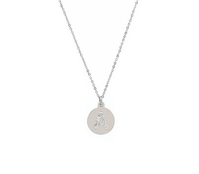 Ketting met letter Letter Ketting Crystal A zilver van roestvrij staal.