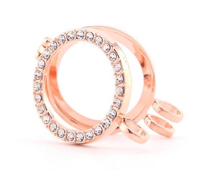 Hanger voor Muntketting Rose Goud smal Strass