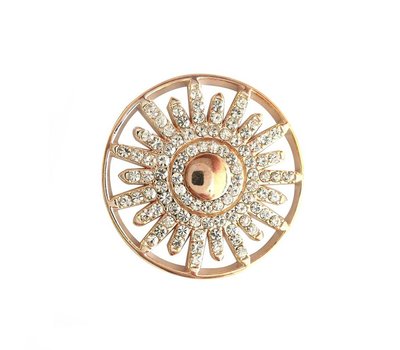 Munt voor Muntketting Roxanna smal rose goud