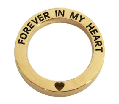 Locket Disks Floating locket open disk forever in my heart goud
