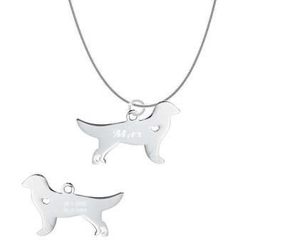 Dieren Sieraden Graveerbare honden ketting Golden Retriever
