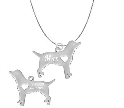 Dieren Sieraden Graveerbare honden ketting Boston Terrier