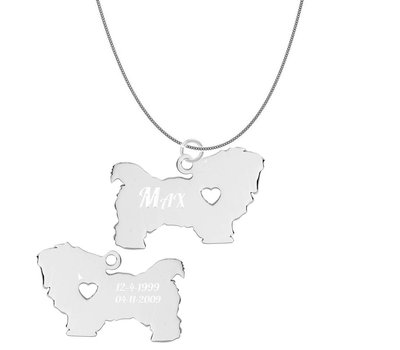 Dieren Sieraden Graveerbare honden ketting Maltezer