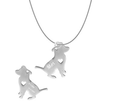 Sieraden met dieren Ketting met hanger Pitbull