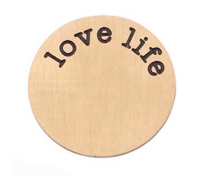 Locket Disks Floating locket disk love life rose goud XL