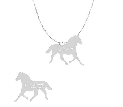 Dieren Sieraden Graveerbare paarden ketting paard