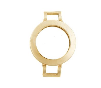 Armband voor munten Munthouder smal voor losse armband goud van roestvrij staal