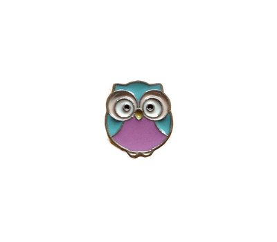 Floating Charms. Floating charm uil vrolijk voor de memory locket