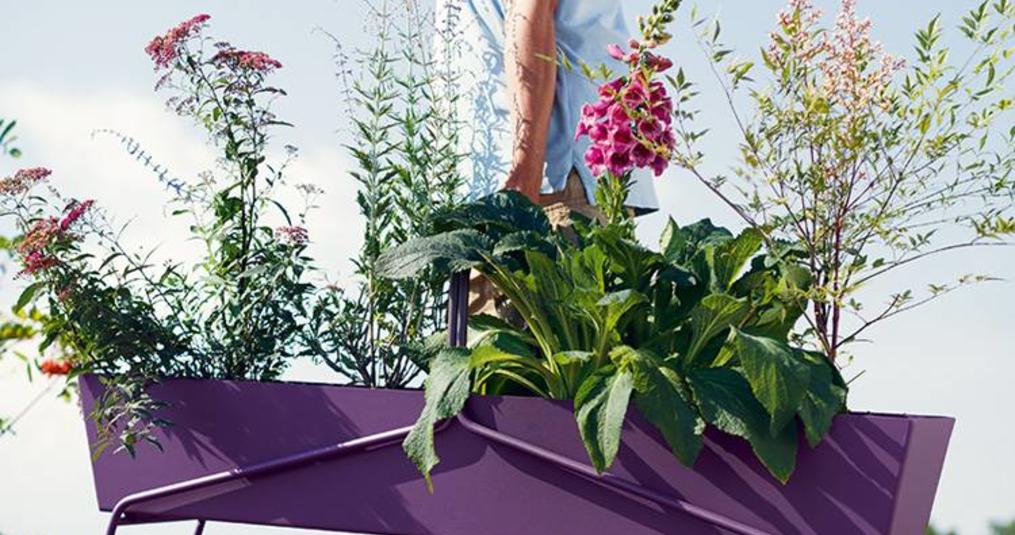 Winnaar Tuinontwerp