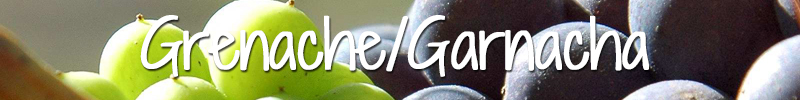 Grenache Garnacha Wijnmarkt