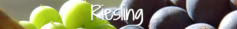 Riesling Wijnmarkt