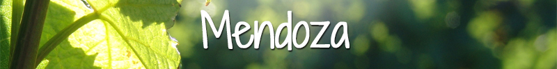 Mendoza Wijnmarkt